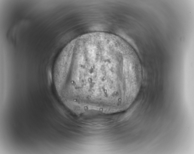 X0000088670061200706211858