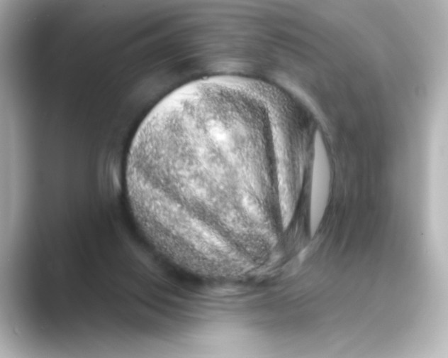 X0000088670062200706211858