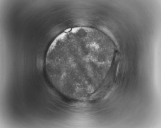 X0000088670063200706211858