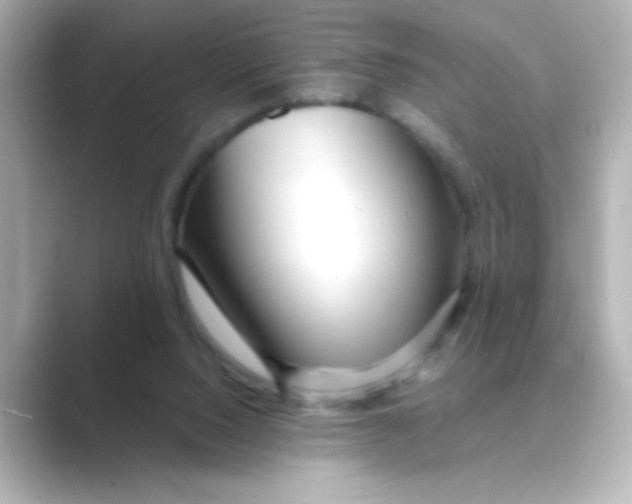 X0000088670064200706211858