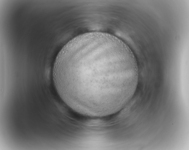 X0000088670066200706211858