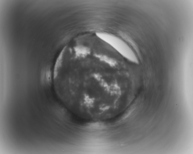 X0000088670067200706211858