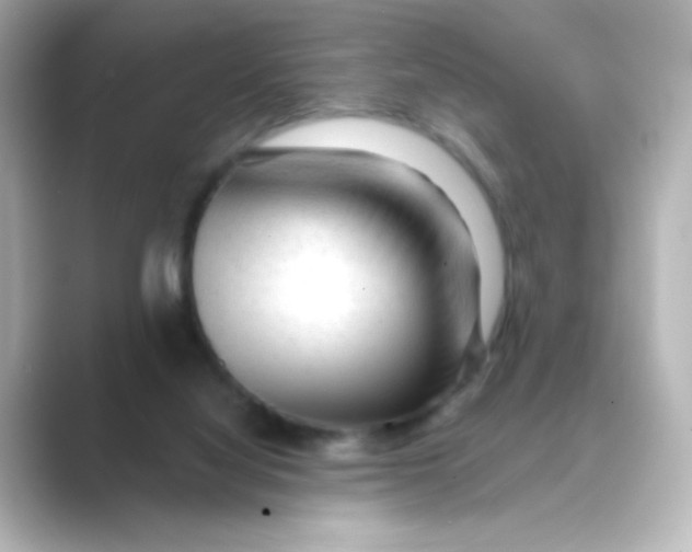 X0000088670068200706211858