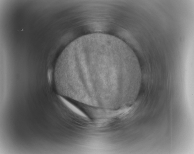 X0000088670070200706211858