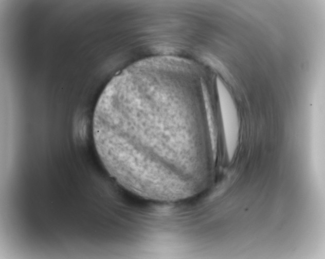 X0000088670071200706211858