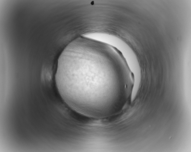 X0000088670072200706211858