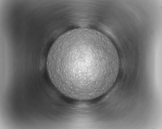 X0000088670073200706211858