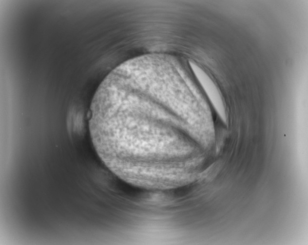 X0000088670074200706211858