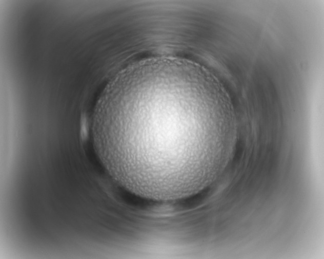 X0000088670075200706211858