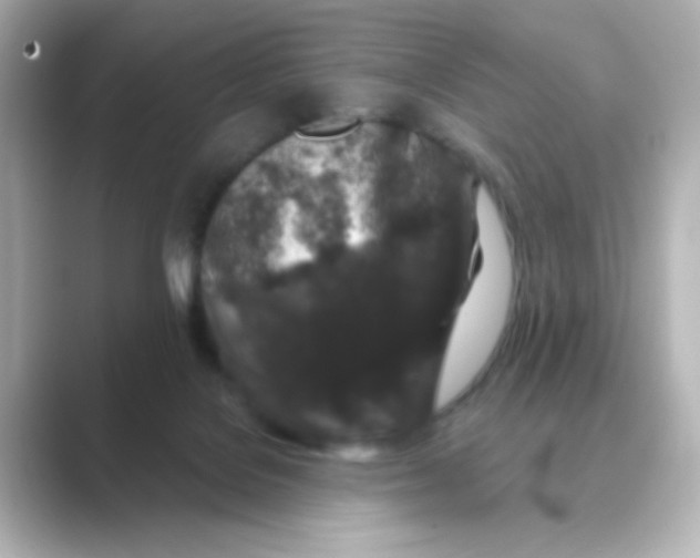 X0000088670076200706211858