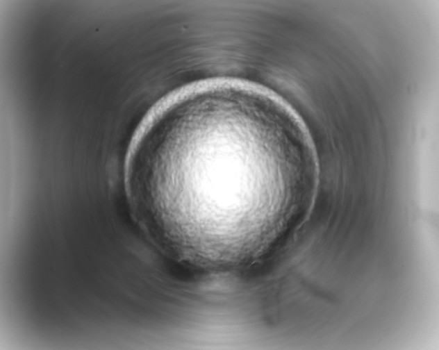 X0000088670077200706211858