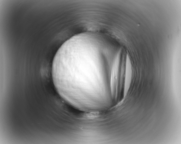 X0000088670078200706211858