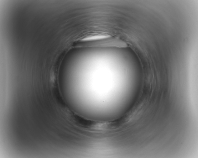 X0000088670084200706211858
