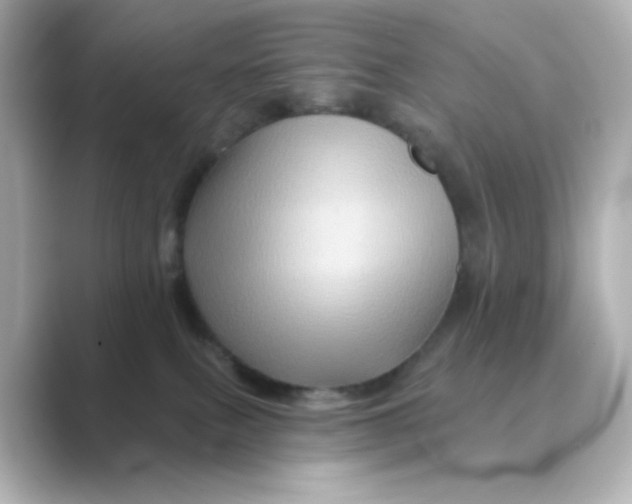 X0000088670087200706211859