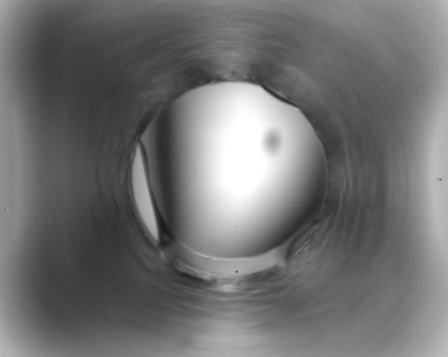 X0000088670088200706211859