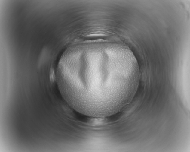 X0000088670089200706211859