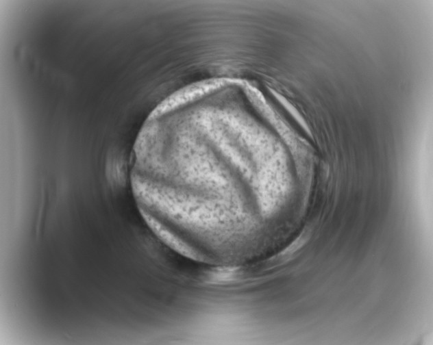X0000088670090200706211859