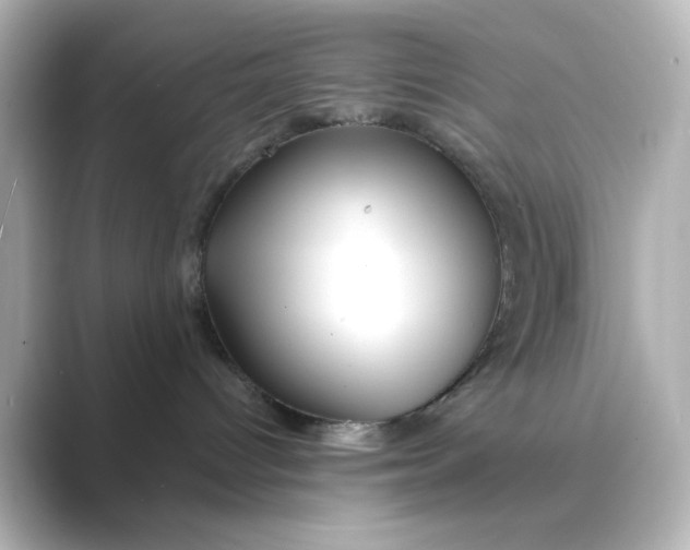 X0000088670096200706211859
