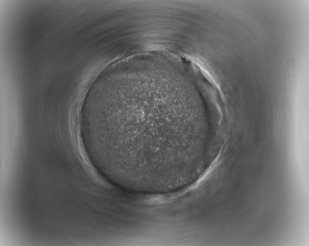 X0000088670097200706211858