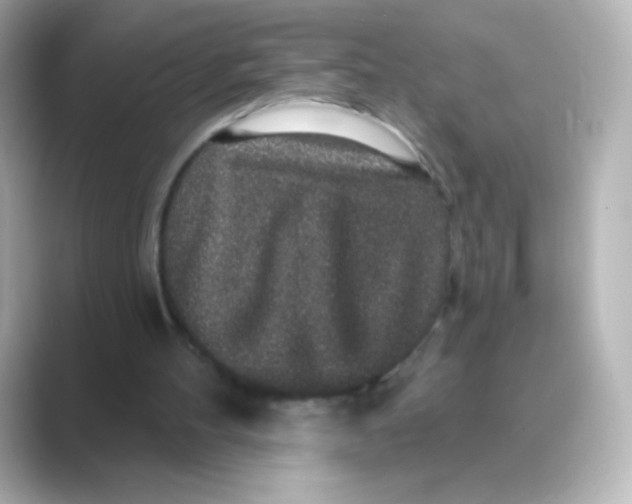 X0000088670100200706211858