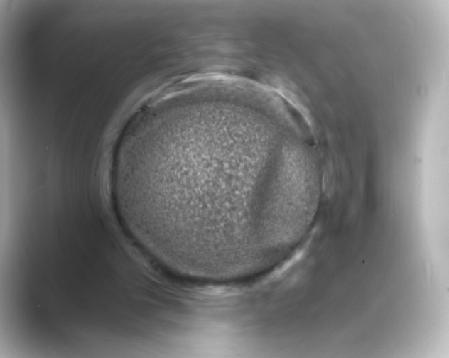 X0000088670101200706211858
