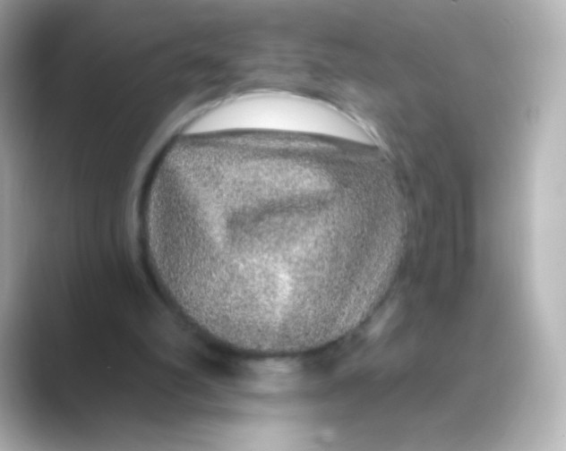 X0000088670102200706211858