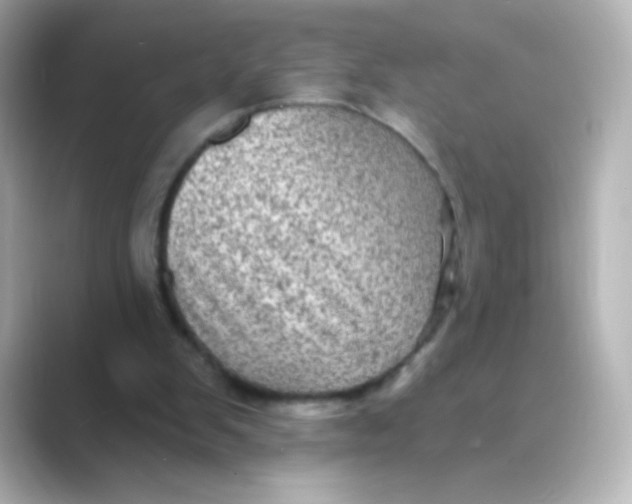 X0000088670103200706211858