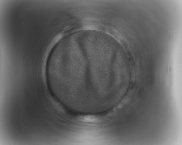 X0000088670104200706211858
