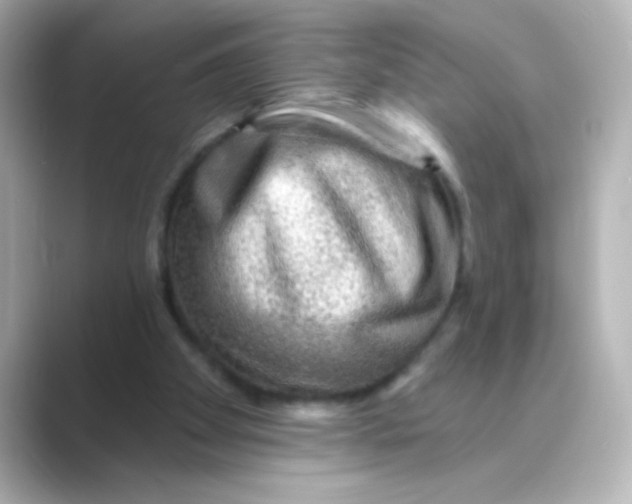 X0000088670105200706211858