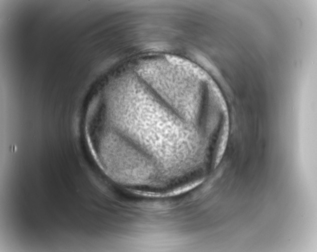 X0000088670106200706211858