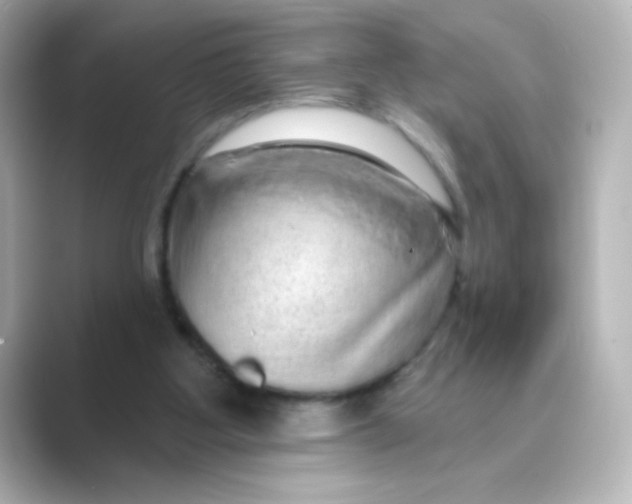X0000088670107200706211858