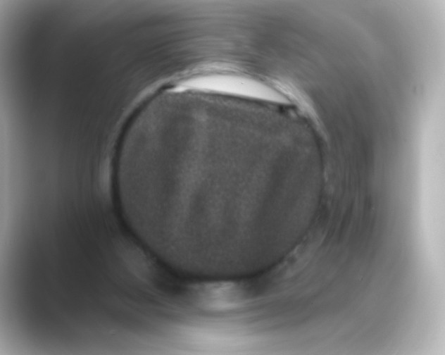 X0000088670108200706211858