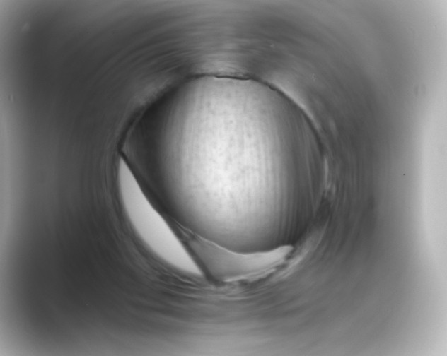 X0000088670109200706211858
