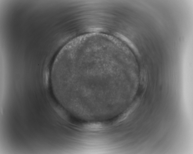X0000088670110200706211858