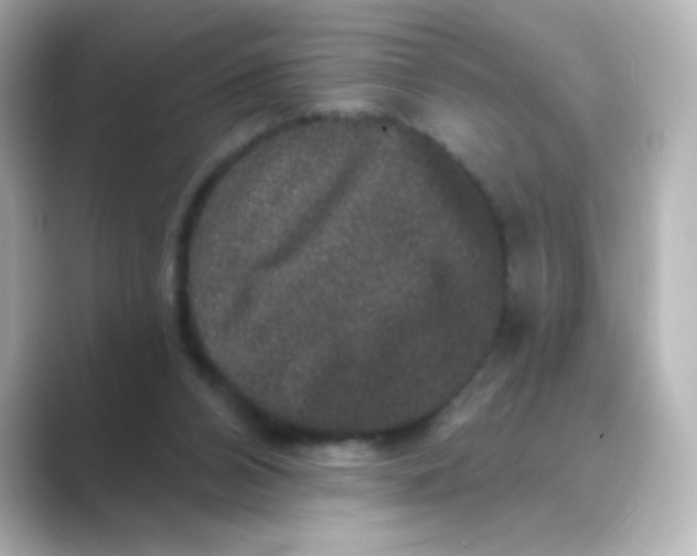 X0000088670112200706211858