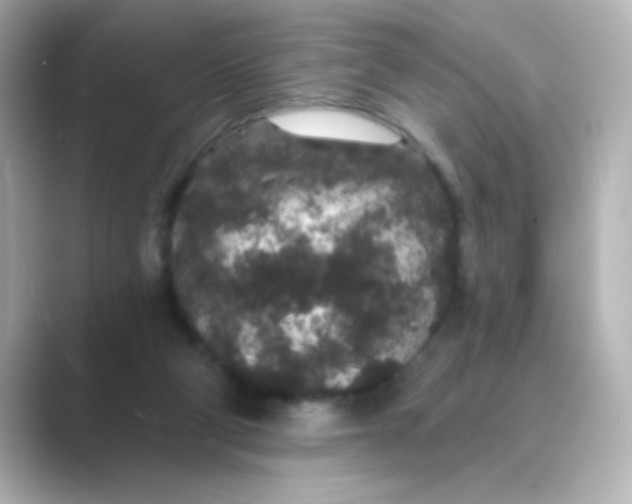 X0000088670114200706211858