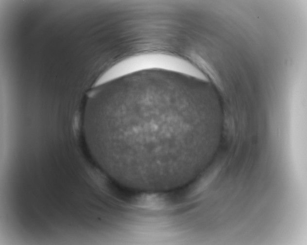 X0000088670117200706211858