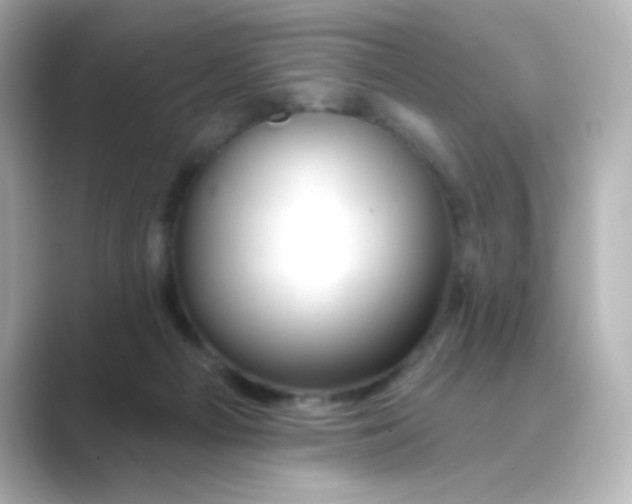 X0000088670121200706211858