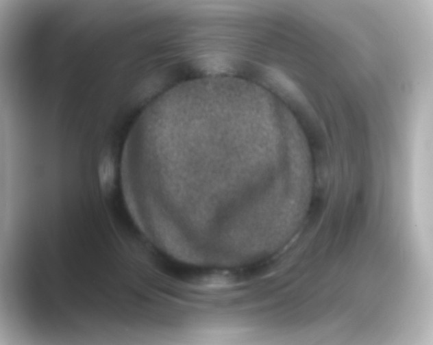 X0000088670124200706211858
