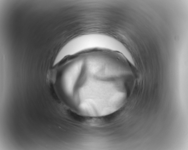 X0000088670125200706211858