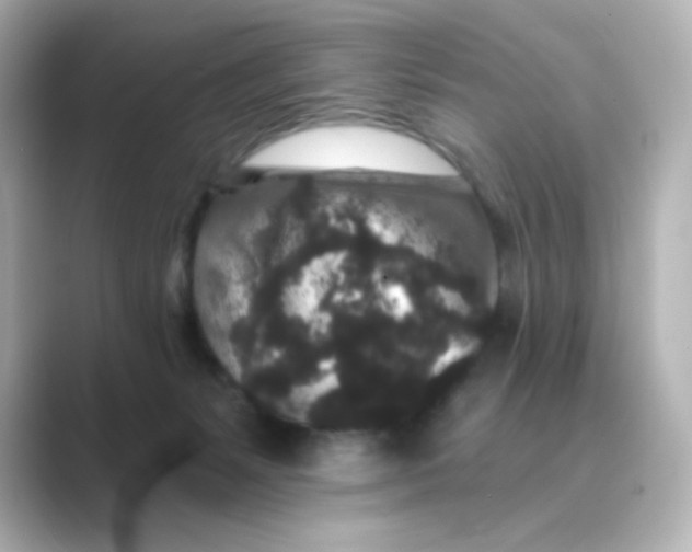 X0000088670127200706211858