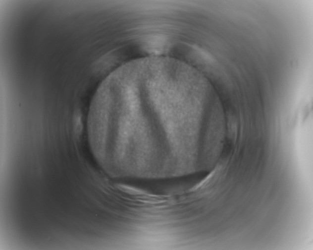 X0000088670128200706211858