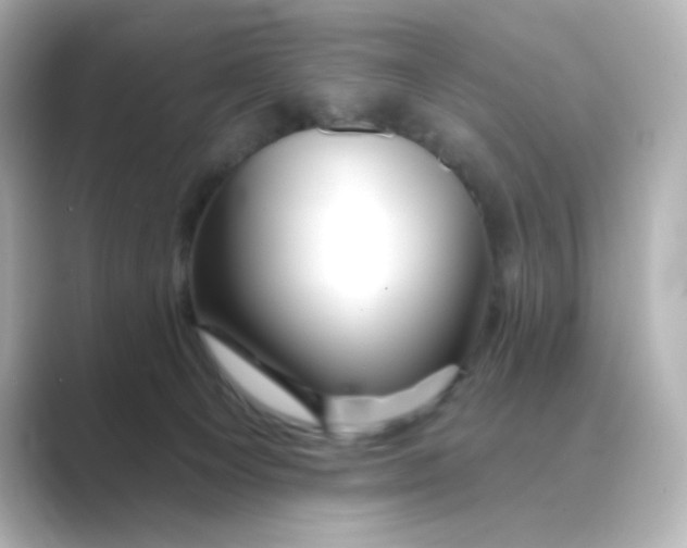 X0000088670129200706211858