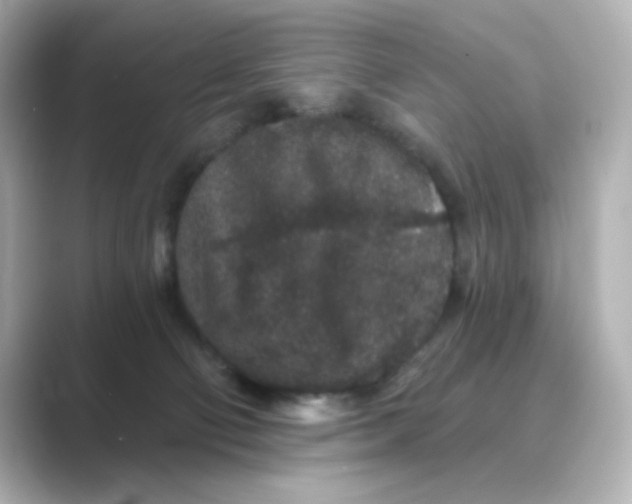 X0000088670130200706211858