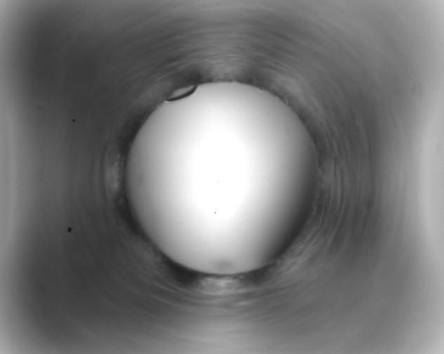 X0000088670133200706211858