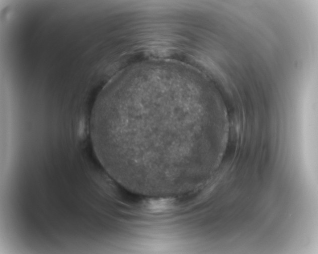 X0000088670134200706211858