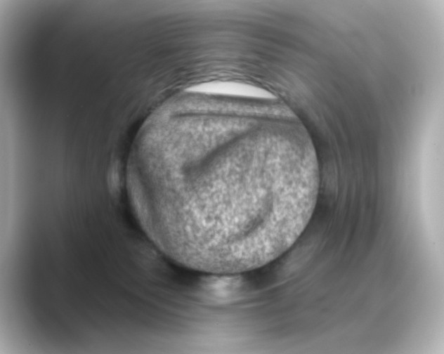 X0000088670135200706211858