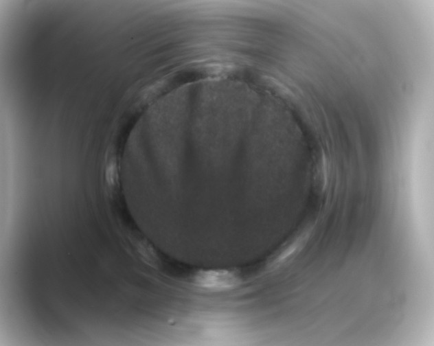 X0000088670137200706211858