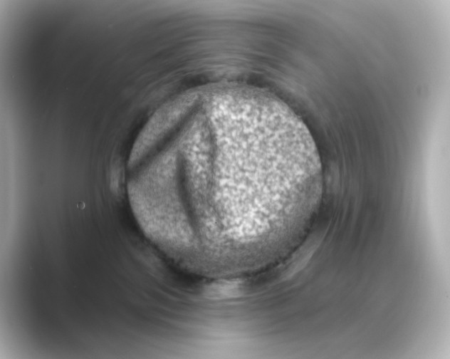 X0000088670138200706211858