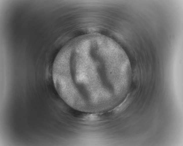 X0000088670140200706211858